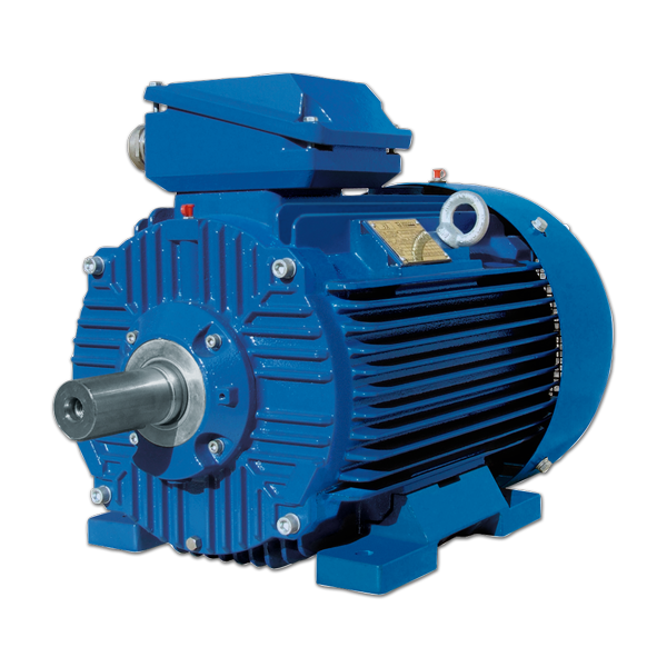 Electric motor 3SIE 315M-4B