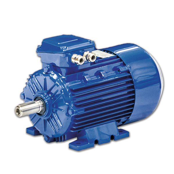ISGEV 5BS63B4 3 Phase .25 HP ELECTRIC MOTOR 